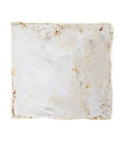 Pilzmännchen Bio Pilzzuchtset Austernpilz -Eleganter Garten 3940285 BildD 002 PilzmaennchenBioHomePilzzuchtsetAusternpilzPilzbrutAusternpilzSet