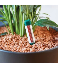 Seramis Gießanzeiger 14 Seramis Gießanzeiger -Eleganter Garten 394684 WE MO 003 SeramisGiessanzeiger 394692