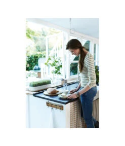 Elho Anzuchthaube L -Eleganter Garten 4026704 WE MO 001 AnzuchthausLTransparentElho