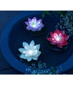 Dehner Kunststoff-Schale Miami, Rund, Anthrazit, Ca. Ø52/H20 Cm 18 Dehner Kunststoff-Schale Miami, Rund, Anthrazit, Ca. Ø52/H20 Cm -Eleganter Garten 4032041 4032108 4032116 WE MO 001 DehnerSolarSeerosen