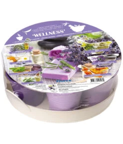 Florex 7-Kräuter Kollektion Wellness