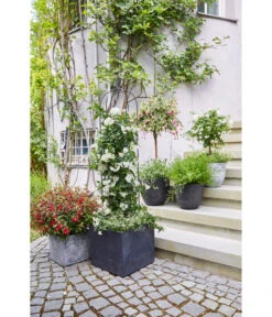 Artstone Kunststoff-Topf Maud, Quadratisch -Eleganter Garten 4086211 4086195 4086229 WE MO 002 KunststoffTopfMaudschwarz