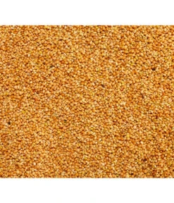 Dehner Gelbe Hirse, 1 Kg -Eleganter Garten 414151 BildD 001 DehnerQualitaetsfutterLaPlataHirseLaPlataHirse1Kg