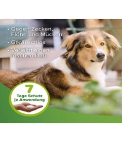 Beaphar Zecken- Und Flohschutzschaum, 150 Ml 9 Beaphar Zecken- Und Flohschutzschaum, 150 Ml -Eleganter Garten 4142741 WE DE 003 BeaZbhZeckenFlohschutzSchaumHundKatze