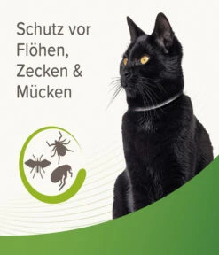 Beaphar Zecken- Und Flohschutzband Für Katzen, 35 Cm 7 Beaphar Zecken- Und Flohschutzband Für Katzen, 35 Cm -Eleganter Garten 4142816 WE DE 002 BeaKZbhZeckenFlohschutzHalsbandReflektierend