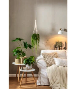 Dehner Makramee-Ampel -Eleganter Garten 4152484 PR MO 001 TopfFreshBraunGrau 4408951 4408977 4408985 4409132