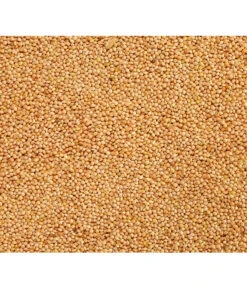 Dehner Silberhirse, 1 Kg -Eleganter Garten 415356 BildD 001 DehnerQualitaetsfutterSilberhirseSilberhirse1Kg