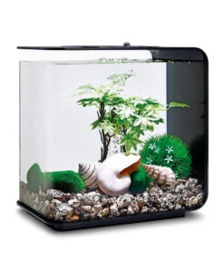 BiOrb® Aquariumdeko Decor Set 15 L Sommer -Eleganter Garten 4163861 WE M 002 BiOrbAquariumdekoDecorSet15LSommer