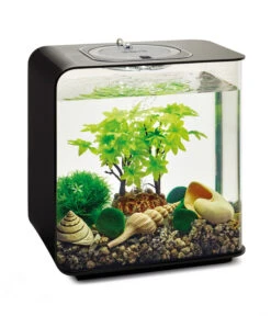 BiOrb® Aquariumdeko Decor Set 15 L Sommer -Eleganter Garten 4163861 WE M 003 BiOrbAquariumdekoDecorSet15LSommer