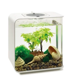 BiOrb® Aquariumdeko Decor Set 15 L Sommer -Eleganter Garten 4163861 WE M 004 BiOrbAquariumdekoDecorSet15LSommer