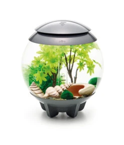 BiOrb® Aquariumdeko Decor Set 15 L Sommer -Eleganter Garten 4163861 WE M 005 BiOrbAquariumdekoDecorSet15LSommer