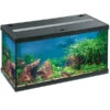 Eheim Aquarium Aquastar 54 LED -Eleganter Garten 4171591 WE FS 001 EheimAquastar54Schwarz