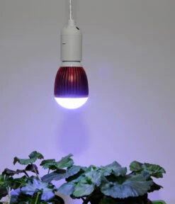 Venso LED-Pflanzenlampe Winter, 7 W 6 Venso LED-Pflanzenlampe Winter, 7 W -Eleganter Garten 4179453 WE MO 001 PflanzenlampeWinter7Watt