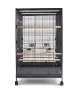 SAVIC Nager- Und Vogelheim Tasmania 120, Ca. B120/H107/T65 Cm 13 SAVIC Nager- Und Vogelheim Tasmania 120, Ca. B120/H107/T65 Cm -Eleganter Garten 4190559 WE FS 005 SavicTasmania120