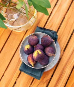 Dehner Aluminium-Lounge Malibu, 2-teilig 19 Dehner Aluminium-Lounge Malibu, 2-teilig -Eleganter Garten 4209870 WE DE 006 LoungeMalibuNEU