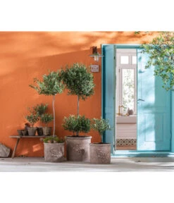 Dehner Terrakotta-Topf, Terrakotta-antik 8 Dehner Terrakotta-Topf, Terrakotta-antik -Eleganter Garten 4273751 4273777 4273785 WE MO 002 TerrakottaTopf