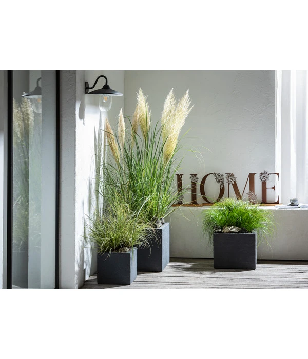 Dehner Kunststoff-Blumenkübel Palermo, Anthrazit 15 Dehner Kunststoff-Blumenkübel Palermo, Anthrazit – Bild 13