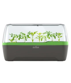 Romberg BoQube Gewächshaus 15 Romberg BoQube Gewächshaus -Eleganter Garten 4299970 WE FS 005 RombergGewaechshausZimmergewaechshausAnzucht