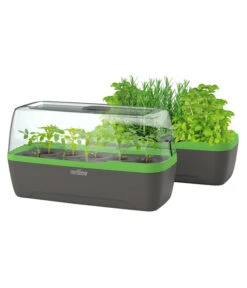 Romberg BoQube Gewächshaus 16 Romberg BoQube Gewächshaus -Eleganter Garten 4299970 WE FS 006 BoQubeGewaechshausZimmergewaechshaus