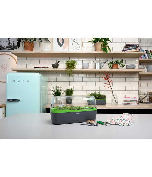 Romberg BoQube Gewächshaus 10 Romberg BoQube Gewächshaus – Bild 8