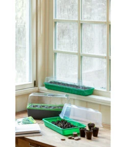 Romberg BoQube Gewächshaus 19 Romberg BoQube Gewächshaus -Eleganter Garten 4299970 WE MO 004 BoQubeZimmergewaechshaus 1