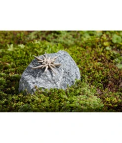 Rottenecker Bronze-Edelweiß Auf Schwarzwaldgranit, Ca. B15/H10/T15 Cm -Eleganter Garten 4302790 WE MO 001 BronzeEdelweissAufSchwarzwaldgranitSteindekoGartendeko