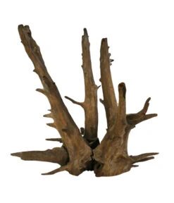 Dehner Aqua Corbo-Wurzel Nano, Ca. B14/H20/T12 Cm