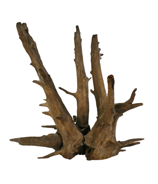 Dehner Aqua Corbo-Wurzel Nano, Ca. B14/H20/T12 Cm 3 Dehner Aqua Corbo-Wurzel Nano, Ca. B14/H20/T12 Cm