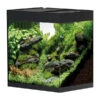 Oase Aquarium StyleLine 85 2 Oase Aquarium StyleLine 85 -Eleganter Garten 4430534 WE FS 001 OaseAquariumStyleLine85Schwarz