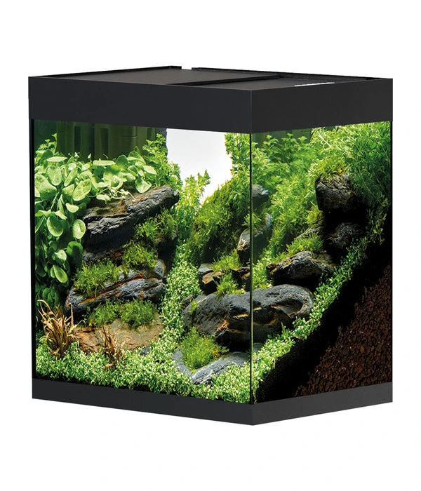 Oase Aquarium StyleLine 85 3 Oase Aquarium StyleLine 85