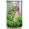 BiOrb® Aquarium TUBE 30 MCR