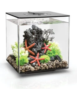 BiOrb® Aquarium CUBE 30 MCR
