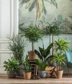 Dehner Seegras-Korb Igmar, Konisch -Eleganter Garten 4439014 WE MO 004 IgmarBraun