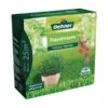 Dehner Saatgut 'Traumrasen' 1 Dehner Saatgut 'Traumrasen' -Eleganter Garten 4440079 WE FS 001 DehnerTraumrasen25Quadratmeter