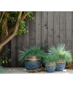 Dehner Keramik-Topf Mystras, Rund, Blau-braun 9 Dehner Keramik-Topf Mystras, Rund, Blau-braun -Eleganter Garten 4441317 4441341 4441408 WE MO 002 DehnerKeramikTopfMystrasrundblaubraun