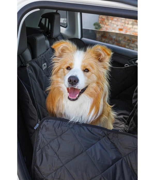 Dehner Autoschondecke Drive, Ca. B137/T147 Cm 4 Dehner Autoschondecke Drive, Ca. B137/T147 Cm – Bild 2