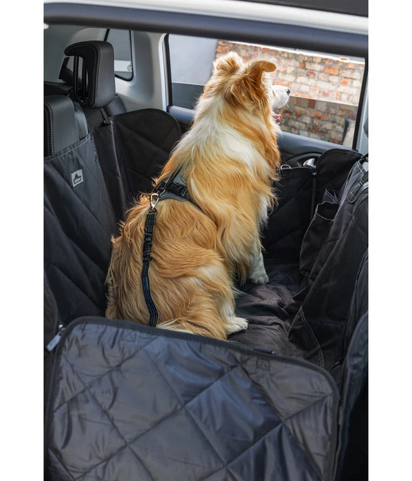 Dehner Autoschondecke Drive, Ca. B137/T147 Cm 5 Dehner Autoschondecke Drive, Ca. B137/T147 Cm – Bild 3