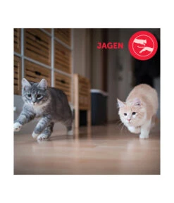 FELIWAY® Alltagshelfer Friends Nachfüllflakon 13 FELIWAY® Alltagshelfer Friends Nachfüllflakon -Eleganter Garten 4477311 4477329 WE D 004 CevaFeliwayFriends