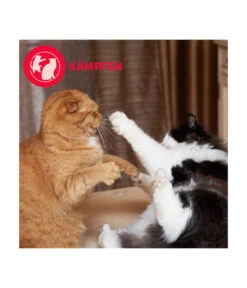 FELIWAY® Alltagshelfer Friends Nachfüllflakon 14 FELIWAY® Alltagshelfer Friends Nachfüllflakon -Eleganter Garten 4477311 4477329 WE D 005 CevaFeliwayFriends