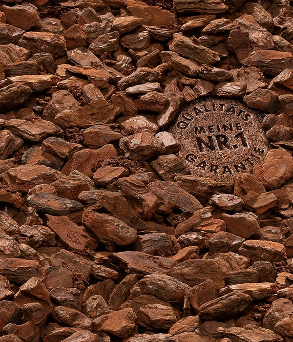 COMPO SANA® Orchideenerde, 5 L 5 COMPO SANA® Orchideenerde, 5 L – Bild 3