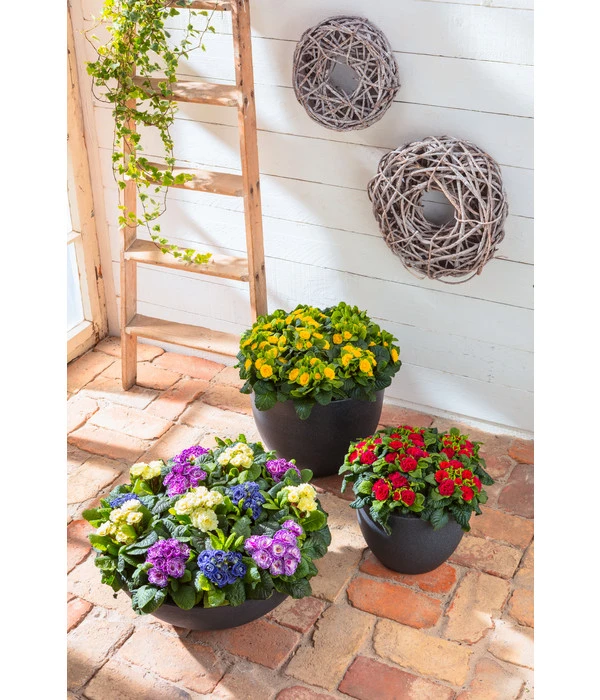 Dehner Kunststoff-Schale Miami, Rund, Anthrazit, Ca. Ø52/H20 Cm 11 Dehner Kunststoff-Schale Miami, Rund, Anthrazit, Ca. Ø52/H20 Cm – Bild 9