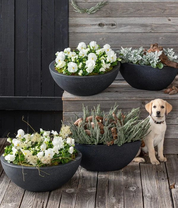 Dehner Kunststoff-Schale Miami, Rund, Anthrazit, Ca. Ø52/H20 Cm 13 Dehner Kunststoff-Schale Miami, Rund, Anthrazit, Ca. Ø52/H20 Cm – Bild 11