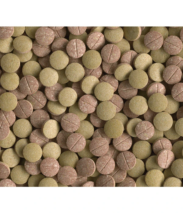 Tetra Tablets TabiMin XL, 133 Tabletten 4 Tetra Tablets TabiMin XL, 133 Tabletten – Bild 2