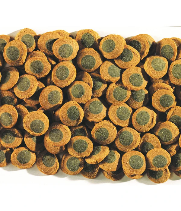 Tetra Pleco SpirulinaWafers, 250ml 4 Tetra Pleco SpirulinaWafers, 250ml – Bild 2