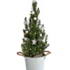 Geschmückter Weihnachtsbaum Linus, Mit Lichterkette, Ca. H50 Cm -Eleganter Garten 6202089 WE FS 001 WeihnachtsbaeumchenLinus17cmLED