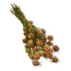 Trockenblumenbund Nigella Mit Fruchtstand -Eleganter Garten 6284236 PR FS 001 NigellaFruchtstandBundDehnerExpressHerzig