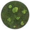 StyleGREEN Bild Aus Wald- Und Kugelmoos, Kreisförmig, Ca. Ø54 Cm -Eleganter Garten 6429757 WE FS 001 Wald KugelmoosbildD54cm