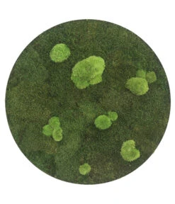 StyleGREEN Bild Aus Wald- Und Kugelmoos, Kreisförmig, Ca. Ø54 Cm