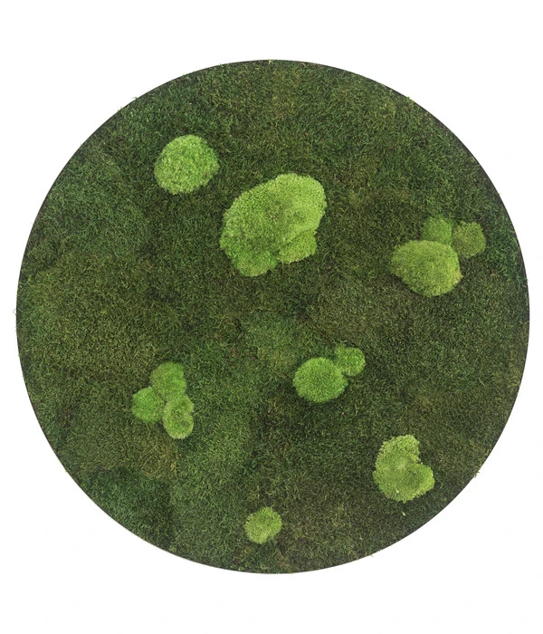 StyleGREEN Bild Aus Wald- Und Kugelmoos, Kreisförmig, Ca. Ø54 Cm 3 StyleGREEN Bild Aus Wald- Und Kugelmoos, Kreisförmig, Ca. Ø54 Cm