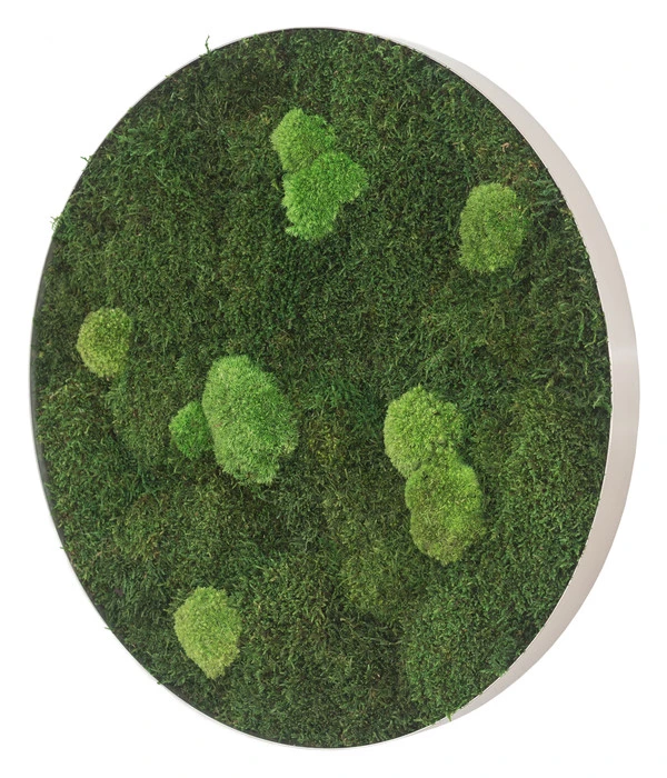 StyleGREEN Bild Aus Wald- Und Kugelmoos, Kreisförmig, Ca. Ø54 Cm 4 StyleGREEN Bild Aus Wald- Und Kugelmoos, Kreisförmig, Ca. Ø54 Cm – Bild 2